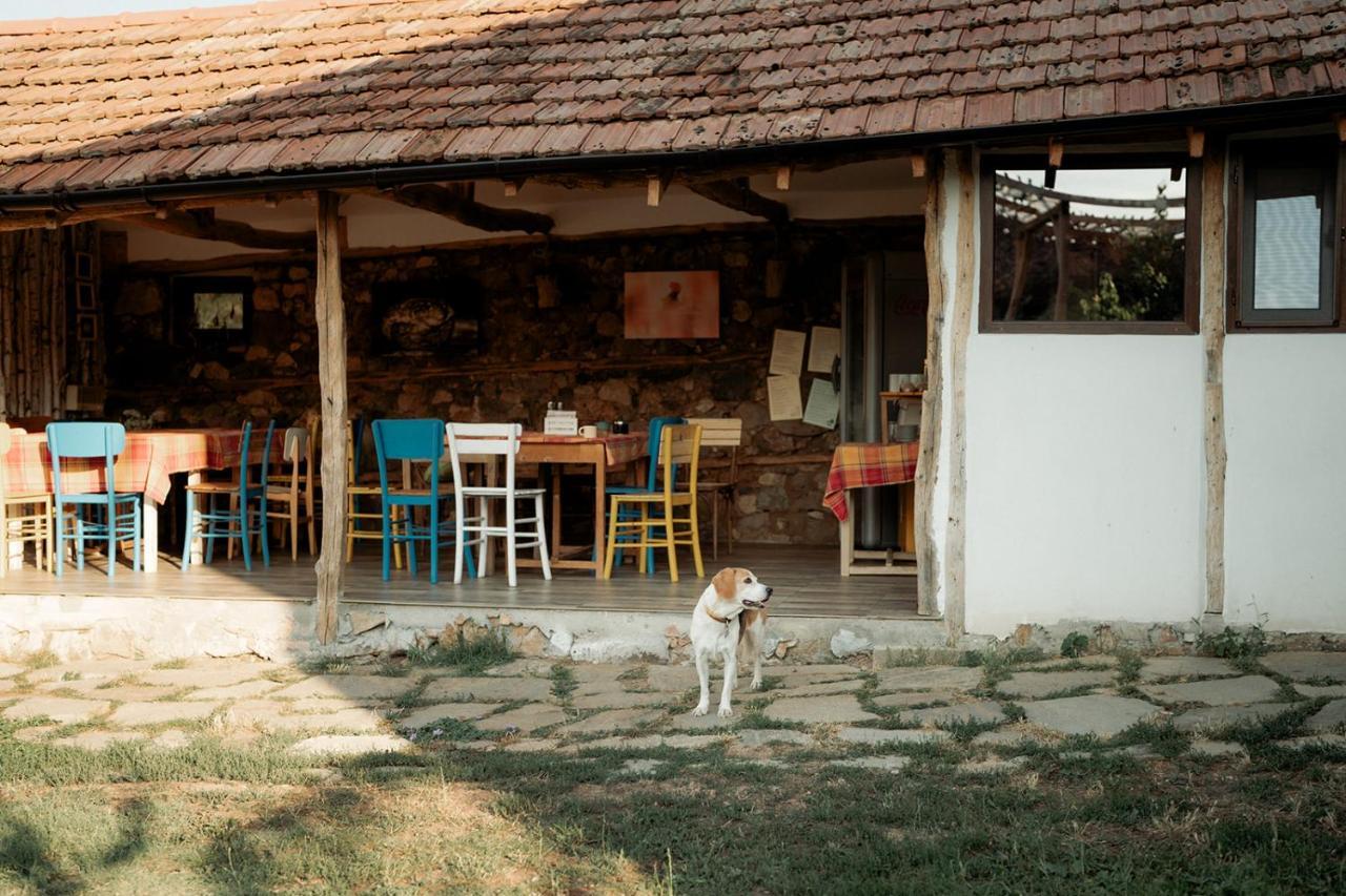 The Old Nest Hotel Madzharovo Buitenkant foto